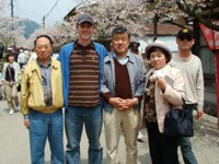 新庄の凱旋桜